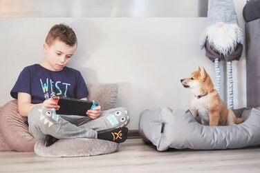 Лягушкове ліжко для собак BedDog Zara, м'яке ліжко-подушка для собак знімним та пральним чохлом, кошик для собак, собаче ліжко-диван, для маленьких собак, S L 70 x 55 x 18 см, світло-пісочний (світло-бежевий)