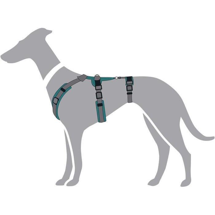 Нашийник для собак Maldon, колір petrol/сірий, розмір L