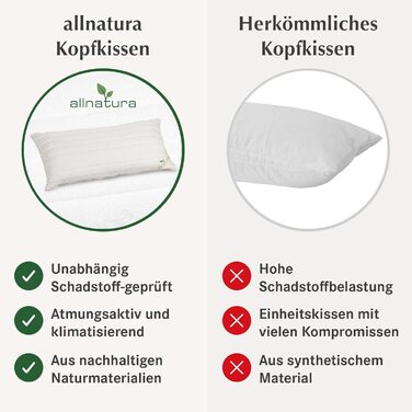 allnatura Cotton Pillow Cotona-Medicott 40x80 cm Test Winner - 100% Organic Cotton ideal for allergy sufferers - Suitable for side and back sleepers - Adjustable height & machine-washable cover - Made in Germany… 40 x 80cm cotton pillow