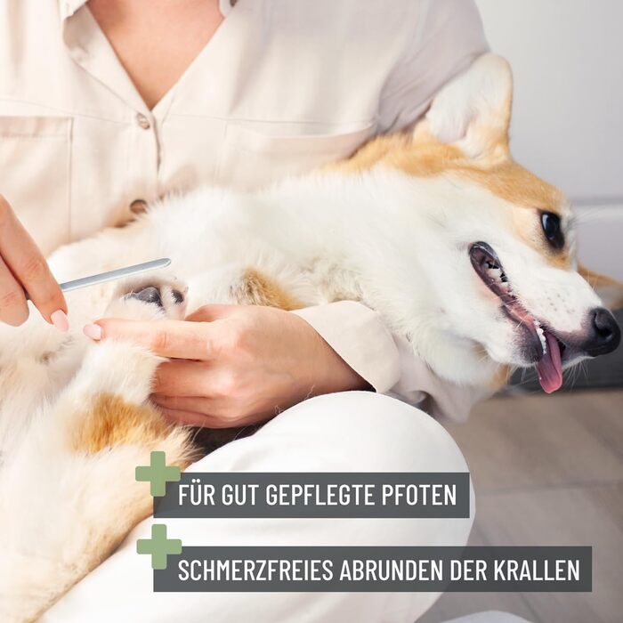 Ножиці ReaVET для обрізання кігтів собак та котів - з пилочкою та упором | Нержавіюча сталь | Інструмент для догляду за кігтями