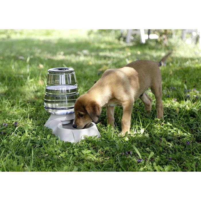 Диспенсер для води Kerbl Nuvola 3,8 л, Бежевий (миска, диспенсер) 81998