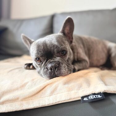 М'яка підстилка для собак та котів 60x40 см, бежева - 4L Textil