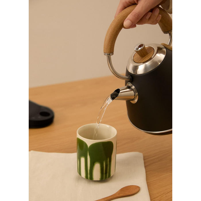 Електричний чайник RETRO PRO з регулюванням температури, 1 л, автоматичне відключення, швидке кип'ятіння, чорний