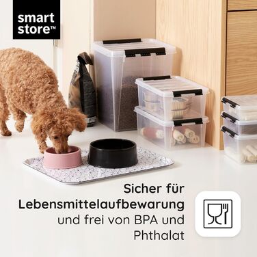 SmartStore Storage Boxes with Lid, Large, 52 L, Transparent, 2-Pack, Reinforced, 10-Year Warranty, Food Safe, with Clip Closure, Stackable, BPA-Free Plastic, 50 x 39 x 41 cm