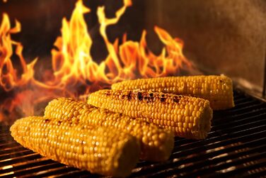 Решітка для гриля BitWa 48x48 см, масивна сталева, для BBQ та тричерного гриля