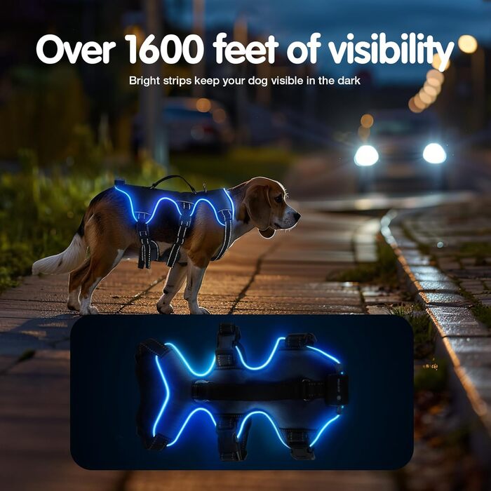 Світловідбиваючий нашийник для собак Jewyow з LED, перезаряджуваний, м'який, регульований, водонепроникний, зелений (XL)