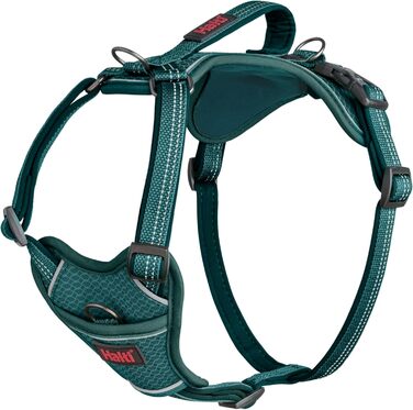 HALTI Anatomy Dog Harness with Handle – Freedom of Movement for Your Dog. 3 Leash Attachment Points, Neoprene Padding, Adjustable and Reflective (Size L, Blue-Green)