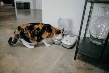 Автоматичний годівниця для котів та маленьких собак Cat Mate C200 з таймером, 2 контейнери, 400г, білий