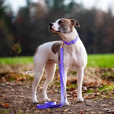 Набір повідка та нашийника для собак з м'якої шкіри, 2 м, 3-х рівневе регулювання, стильна рожева металева застібка, нейлонові повідки для цуценят, собак маленьких, середніх та великих порід, S (XS (обхват шиї 20-30.5 см, ширина 1.5 см), фіолетовий)