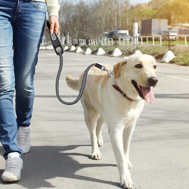 Висувна собача шлейка 8м, високоякісна, для собак до 50кг (сіра, фіолетова)