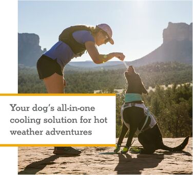 RUFFWEAR Swamp Cooler Dog Harness and Handle, Lightweight Running Gear Keeps Pets Cool in Hot Weather, Adjustable, Durable & Cooling, 2 Leash Ports, Graphite Gray (Large/XL, 81-107cm)