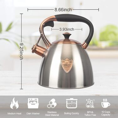 Чайник для плити Teekessel з нержавіючої сталі, 2,9 л