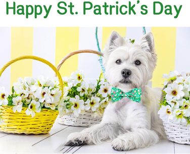 Нашийник для собак на День Святого Патріка з бантиком, зелений, з кишенькою, для дітей та дорослих, універсальний розмір, білий трилистник (S, райдужний трилистник)