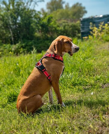 Нашийник для собак Lionto з м'якого нейлону, світловідбиваючий, анти-тяга, з 2 кільцями та 4 ремінцями, двома застібками-кліпсами та гумовим ручним тримачем (S, Червоний)