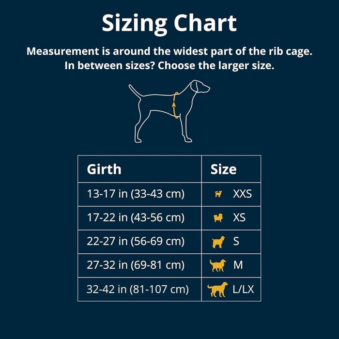 Шлейка для собак Ruffwear Flagline з ручкою, легка, регульована, 3 точки кріплення для повідка, посилена стрічка, міцний металевий V-кільце, Базальтовий сірий, розмір Small