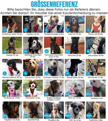 Шлейка для собак SlowTon з кріпленням для авто, чорна, розмір L. Двошарове дихаюче мереживне полотно з латексу, підходить для щоденних занять спортом.