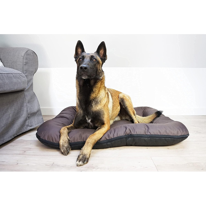 Ліжко для собак середніх порід 4L Textil KLEO, 90x70 см, водонепроникне, знімний чохол, темно-зелене