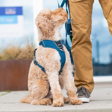 Шлейка для собак DOG Copenhagen Cofort Walk Pro, розмір XL, колір Desert Dune