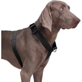 колір: чорний