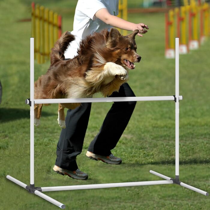 Набір для аджиліті для собак Grün 4X: набір шлагбаумів, регульована висота, 104x70x101 см
