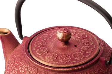 Bredemeijer Red Asian Cast Iron Teapot Set 0.6 Liter with 2 Cups