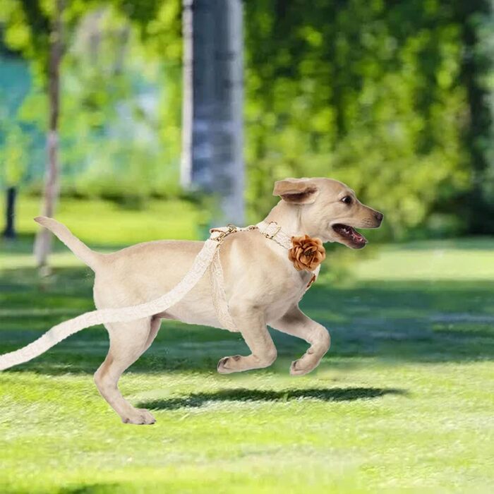 Набір для прогулянок з собакою: шлейка та поводок, розмір S, білий, бежевий. Регульована шлейка без тяги з бантиком та ручкою для зручності. Ідеально для дівчаток.