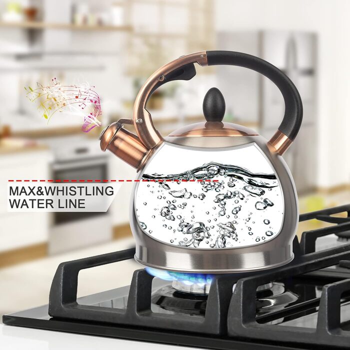 Чайник для заварювання чаю, класичний, нержавіюча сталь, 3 л (срібляний)