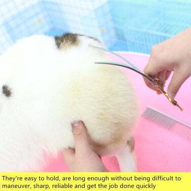 Ножиці для грумінгу собак великих порід HASHIMOTO, 20.3 см, професійні та для дому