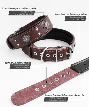 Leather Dog Collar, 5 cm Wide Robust Genuine Leather Collar, Handcrafted, Soft and Luxurious, Eye-Catching Best Choice for Large and Medium Dog Breeds 57-67.5 cm
