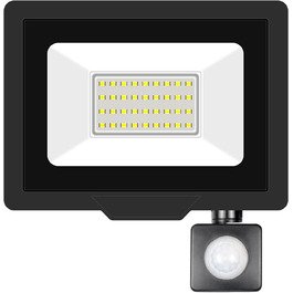 20000LM LED Floodlight Outdoor with Motion Sensor LED Spotlight 6000K Cold White IP66 Waterproof LED Outdoor Floodlight Floodlight for Garage, Hallway, Garden, Courtyards, Hotel, Sports Field (6000K Cold White, 30W)