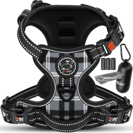 колір: грау карієрт