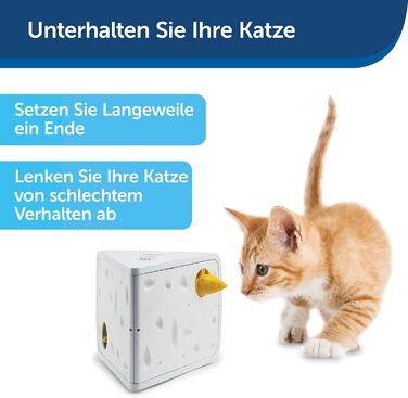 PetSafe Cheese Cat Toy, Interactive Enrichment Toy with Timer, ‎3 AA Batteries Required