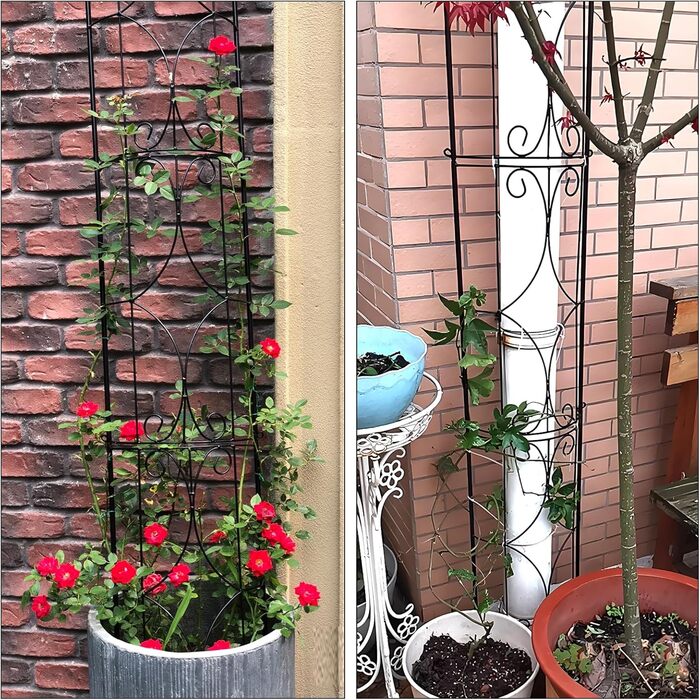 Thealyn Rankgitter Garten 2 Pack 182cm H x 31cm W Metal Plant Trellis Indoor/Outdoor Metal Garden Trellis Plant Grid for Potted Plants Climbing Plants (Black)