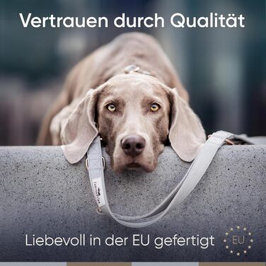 Нашийник для собак Freudentier з веганської шкіри, подарунковий мішечок, м'який, регульований та міцний. Підходить для собак середніх та великих порід, обхват шиї 34-49 см, ширина 2 см.