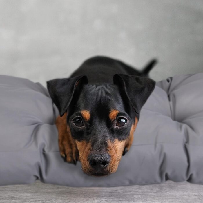 Крісло-лежанка для собак Relaxdays, 110 x 90 см, м'який лежак для великих собак, водовідштовхувальний, можна прати, килимок для тварин (Сірий, L 50 x B 75 x H 10 см)