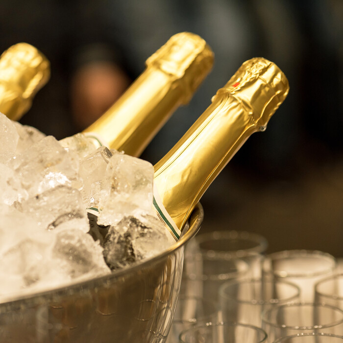 Relaxdays Champagne Cooler Bowl Stainless Steel