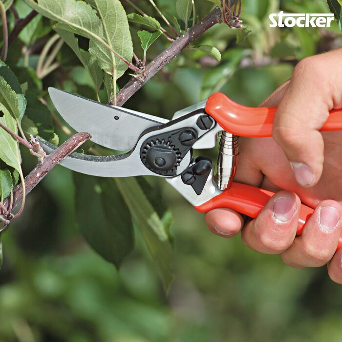 Професійний садовий секатор STOCKER 21 см, хромована сталь, ергономічний, для обрізки гілок до 22 мм, ідеальний для троянд та багаторічників, з PVC-ручками