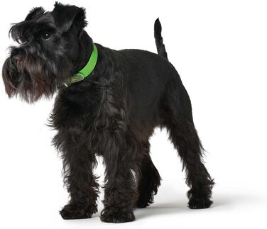 Нашийник для собак HUNTER CONVENIENCE, пластик, зелений (40 см)