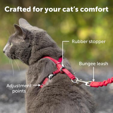 PetSafe Come with Me Kitty Harness and Bungee Leash, Harness for Cats, Size M, Red/Cranberry, Model: CWMK-M-RED