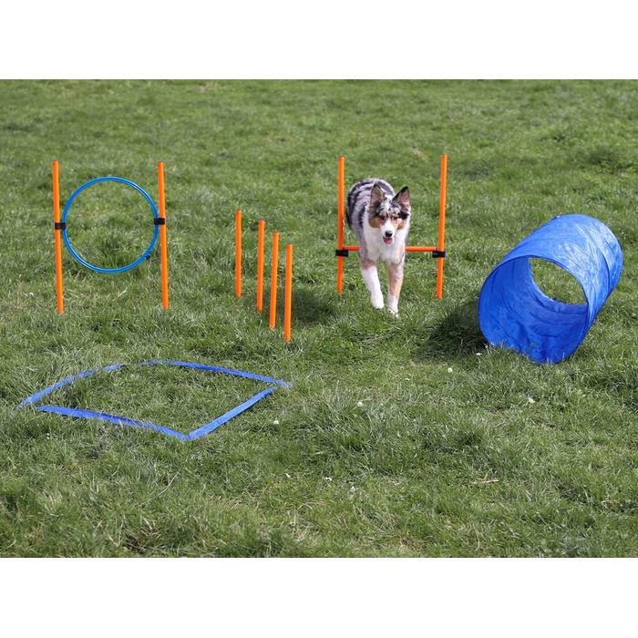 Набір для аджиліті для собак маленьких та середніх порід | Набір для дресирування собак з бар'єрами, тунелем та кільцем для стрибків | Початковий набір для собачого спорту
