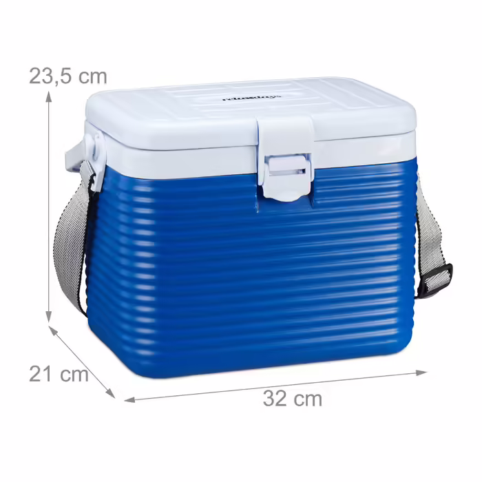 Relaxdays Small Cooler Box, 8 Liters