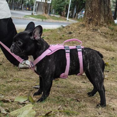 Нашийник для собак з повідком, безпечний нашийник від виривання, анти-тяга, нашийник для собак з ручкою та світловідбиваючими елементами, легкий, регульований, для середніх собак (XS) (Дуже маленький, фіолетовий)