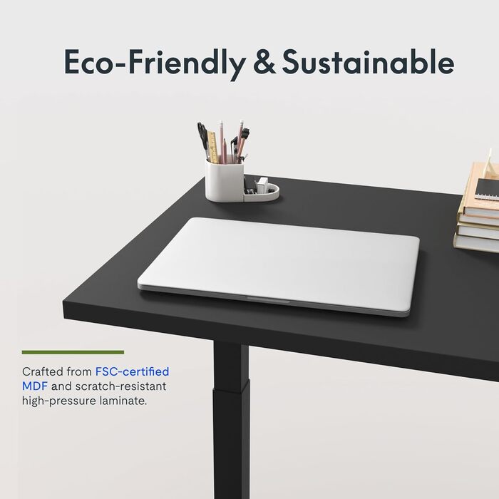 FLEXISPOT Electric Standing Desk - 160x80cm - Height Adjustable Desk with Memory Function (Black)