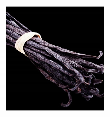 Жіночі парфуми Yodeyma Harpina, 100 мл