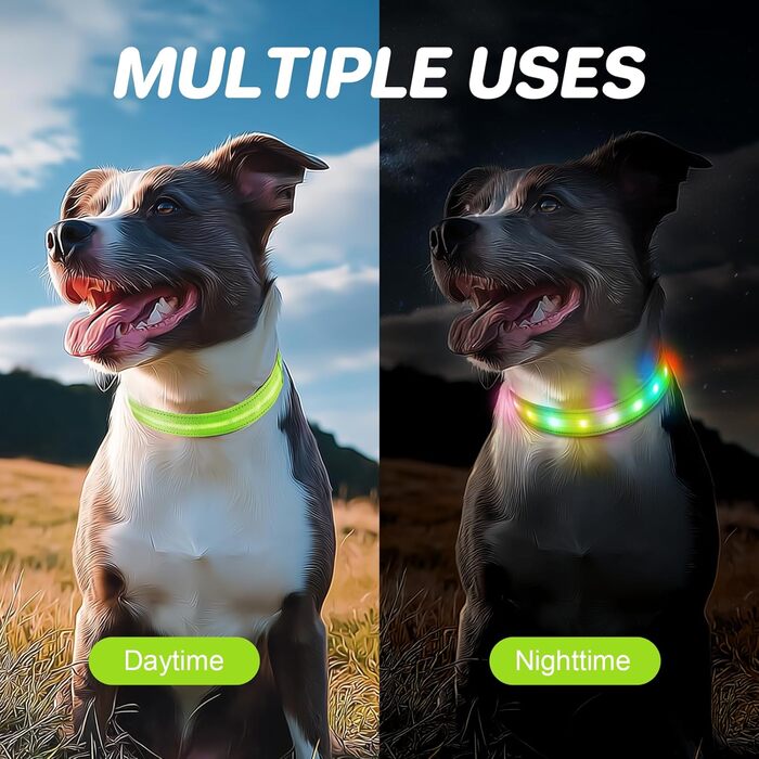 Світлодіодна нашийник для собак Feycig з USB-зарядкою - водонепроникний, регульований, 3 режими, для малих, середніх та великих собак (світло-зелений, M(38-50см))