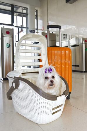 Транспортний бокс для тварин Curver Pet Transportbox L, білий/кремовий, 51x38x33 см