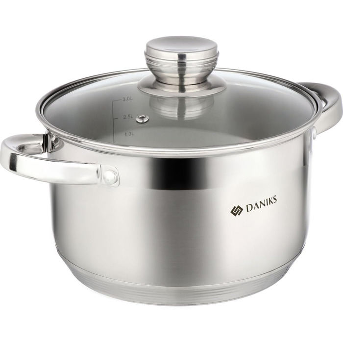 Danik Standard Stainless Steel Cooking Pot with Glass Lid, 20 cm, 4 Liters, Soup Pot/Noodle Pot/Pasta Pot, Silver