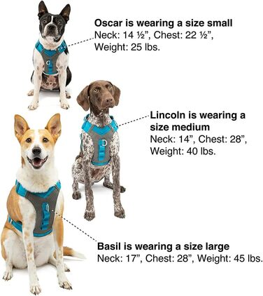 Шлейка для собак Kurgo Journey Air, посилена, з ручкою для контролю, для прогулянок та бігу, відображає світло, оранжева, X-Large