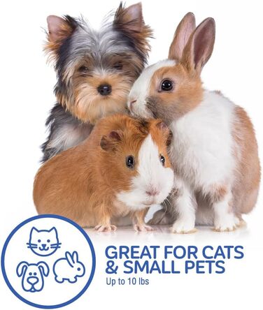 Клітка для собак та котів Petmate, пластикова, одностулкова, з фронтальним доступом, розмір L (48 x 32 x 27 см), колір зелений