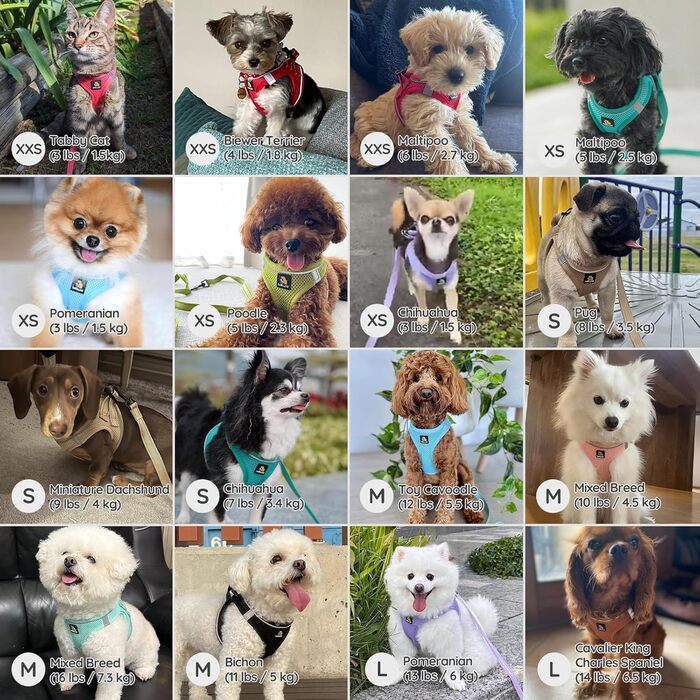 Шлейка для собак BELLA & PAL для маленьких собак з повідком, Step-in шлейка з Air Mesh, анти-тяга, світловідбиваюча, дихаюча, для цуценят, котяча шлейка, мокко, S (35-40 см обхват грудей)